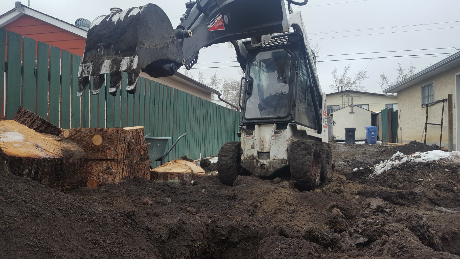 Bobcat skid steer removing tree stumps in a backyard